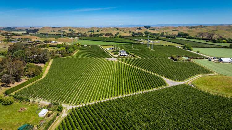 490 Puketitiri Road, Puketapu Napier South_0