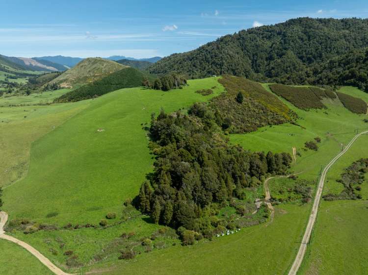 537 Ronga Road Rai Valley_8