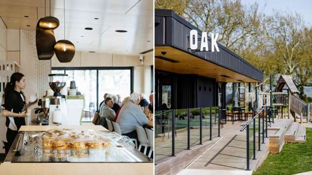 11 Crawford Lane Morrinsville_4