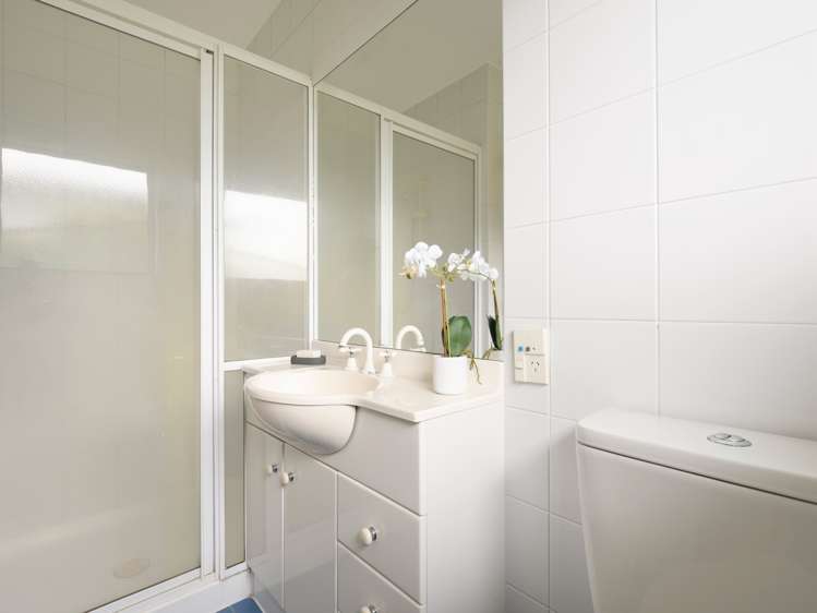 43b Harvey Street Tauranga South_17