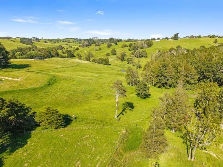 Lot 3 Prictor Rd Wellsford_21