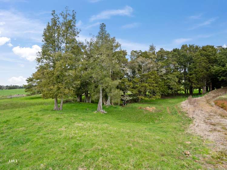 Lot 1 or Lot 2, 0 Roydon Drive Ruatangata West_6