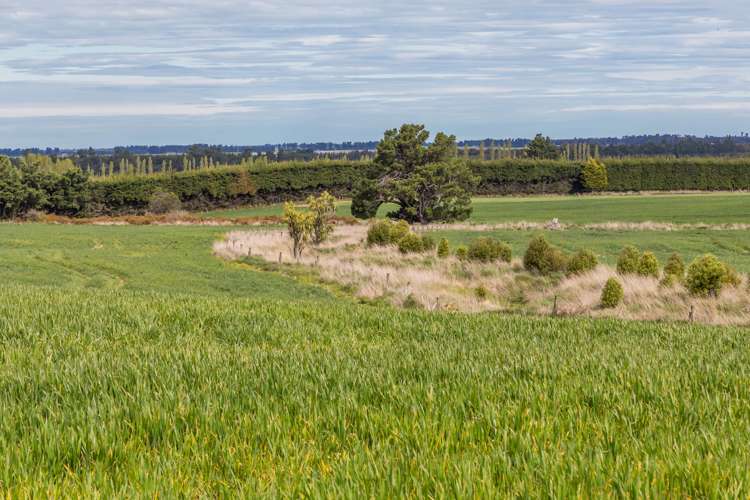 789 Downs Road Hororata_25