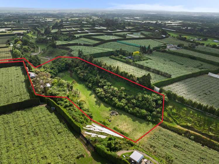 575 No 2 Road Te Puke_24