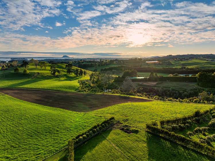 Lot Lot 1 Ross Road Whakamarama_13