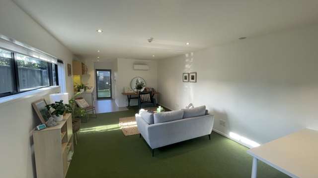 255 Campbell Road Greenlane_4