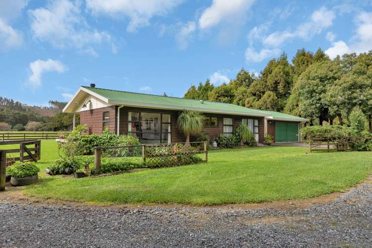 137 Harris Road Glenbervie_6