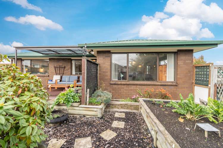 354 Tay Street Turnbull Thomson Park_21