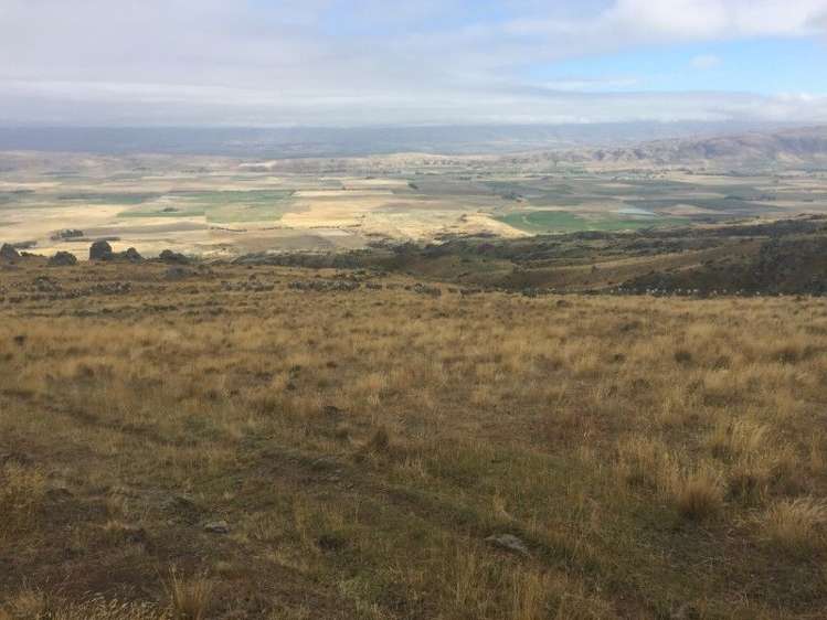 232 Ida Valley Back Road Oturehua_23