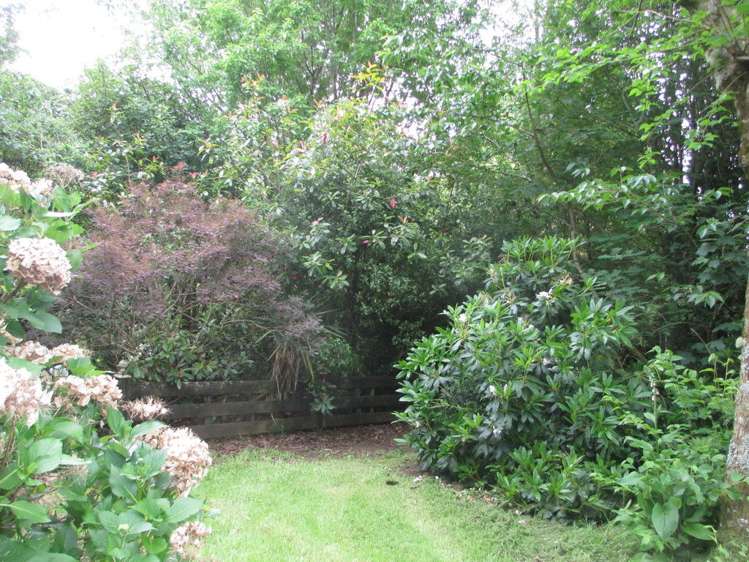 913 Tahakopa Valley Road Catlins Surrounds_14