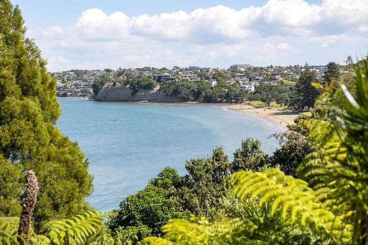 5A Clifton Road Browns Bay_9