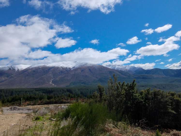 State Highway 63 Wairau Valley_16