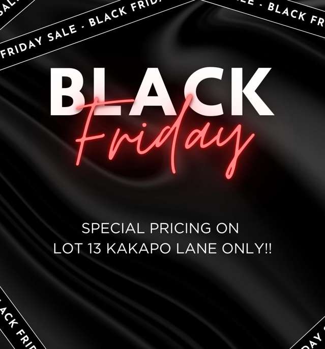 LOT 13 BLACK FRIDAY OFFER!