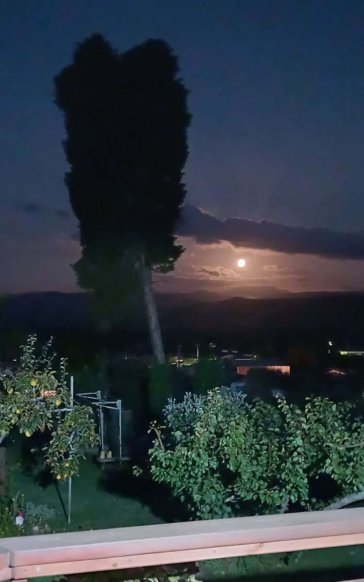 21&23 Tanekaha Terrace Mangakino_12