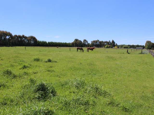 14 Aerodrome Road Dannevirke_2