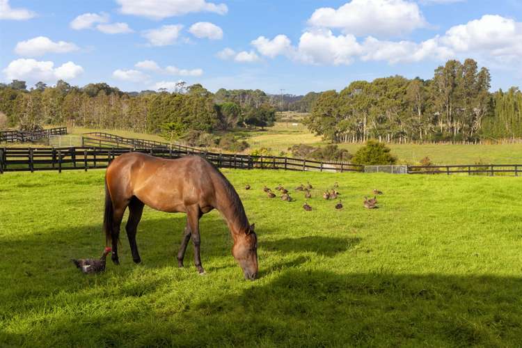 145 Hanham Road Kumeu_34