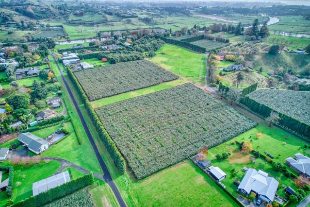 36 Echo Valley Way Tauriko_4