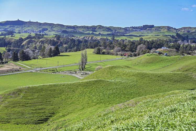 2152 Puketitiri Road Central Hawkes Bay Coastal_30