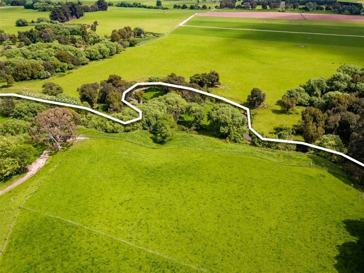 78 Lees Pakaraka Road Masterton_23