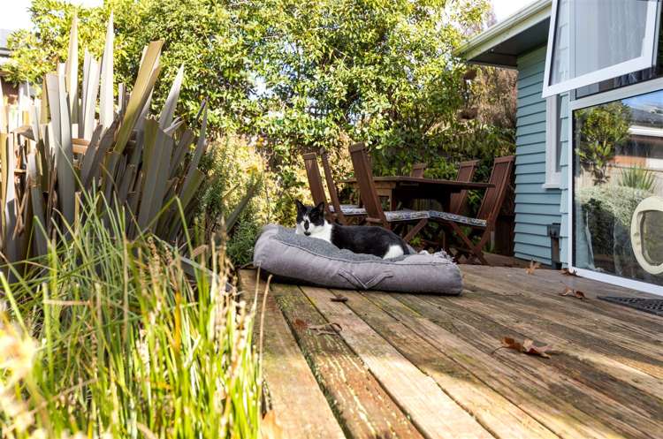 20 Hammerichs Road Rapaura_20