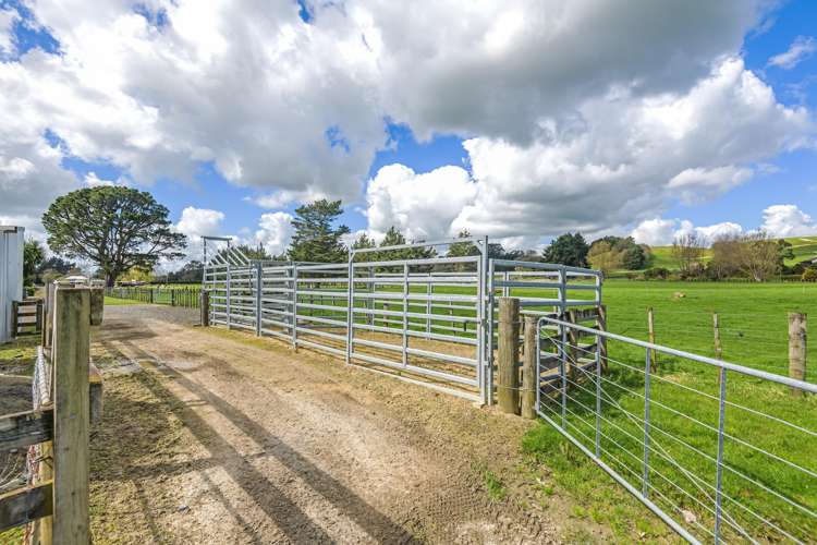 24 Chatham Street Pahiatua_21
