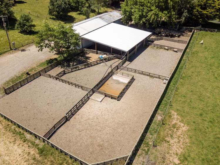 233 Raincliff Road Pleasant Point_14