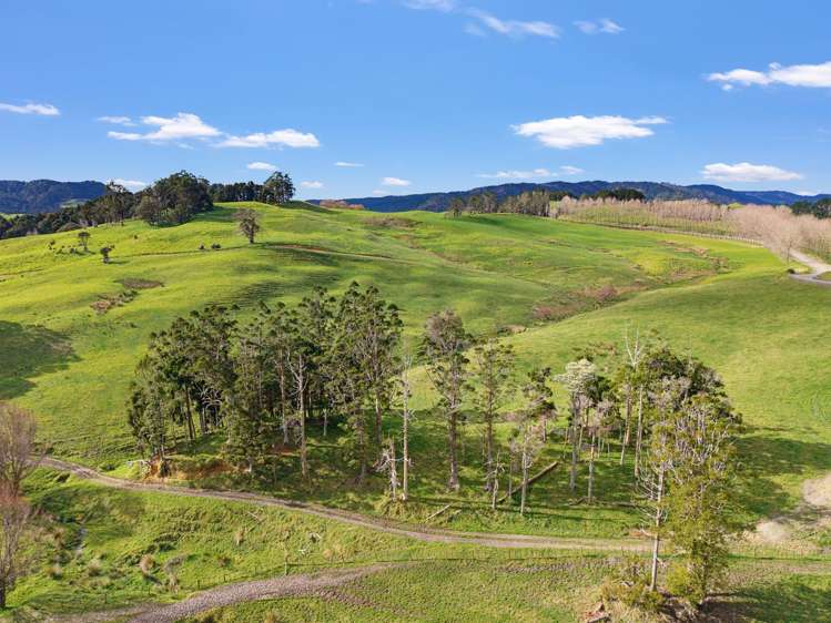 / Lot 12 Gorge Road Maungaturoto_14