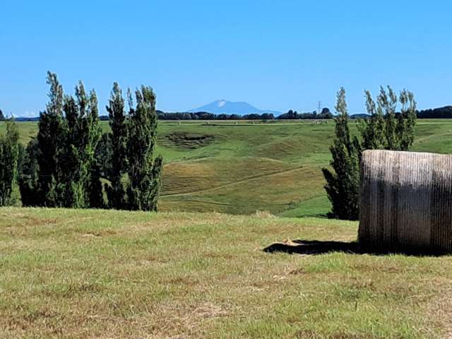 Lot 2/355 Lethbridge Road Feilding_1