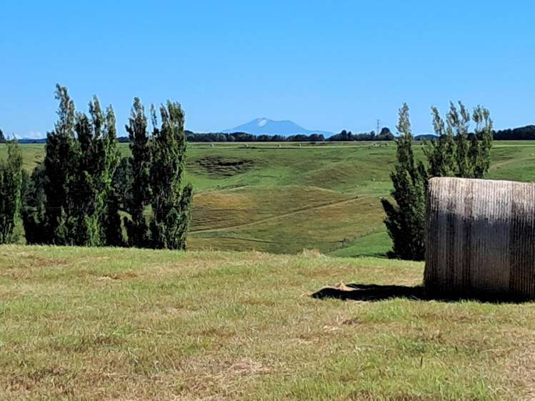 Lot 2/355 Lethbridge Road Feilding_1