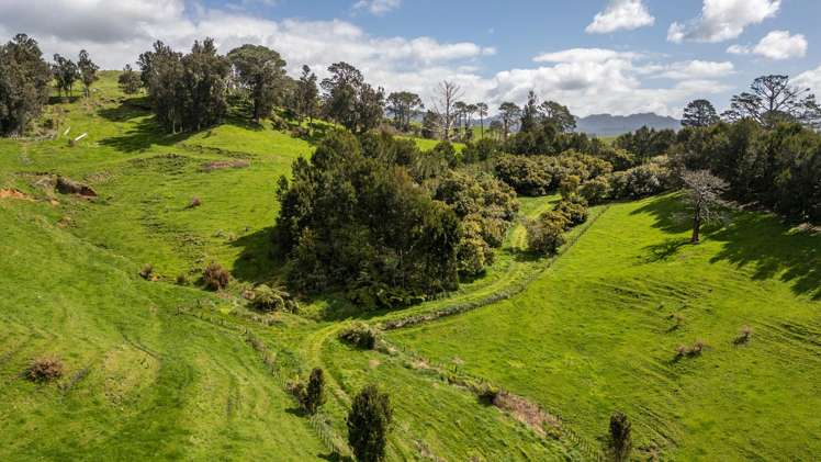 231 Walford Road Aongatete_10