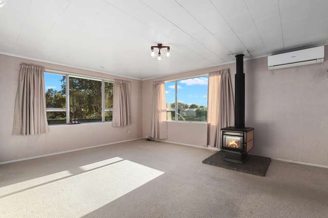 329a Thames Street Morrinsville_3