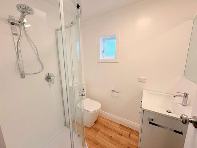  3/3 Alameda Terrace Aro Valley_4
