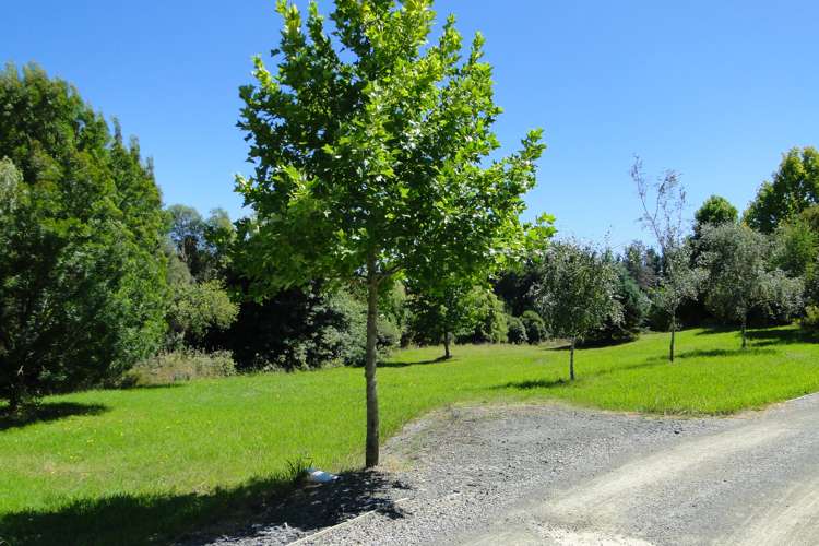 99 Dawson Road Upper Moutere_3