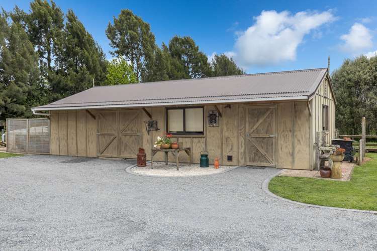 27c Shaw Road Matangi_21