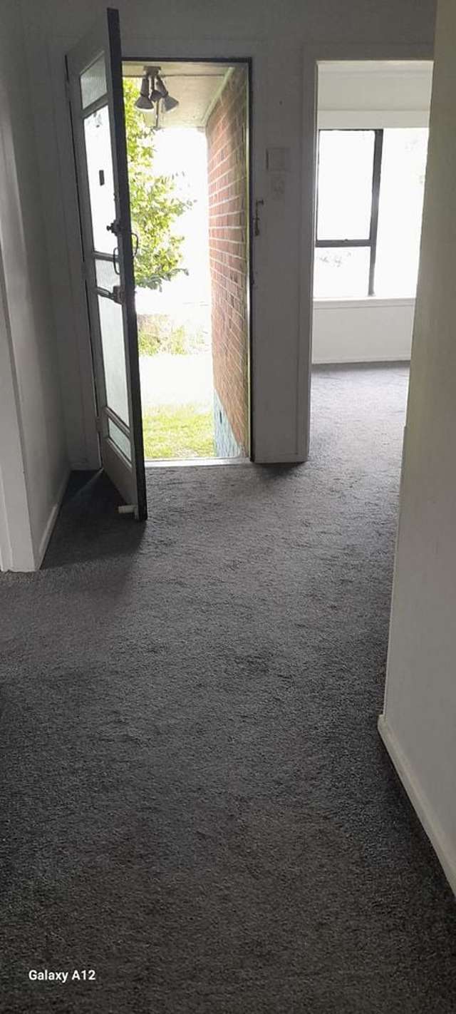 20 Boyce Avenue Mount Roskill_2