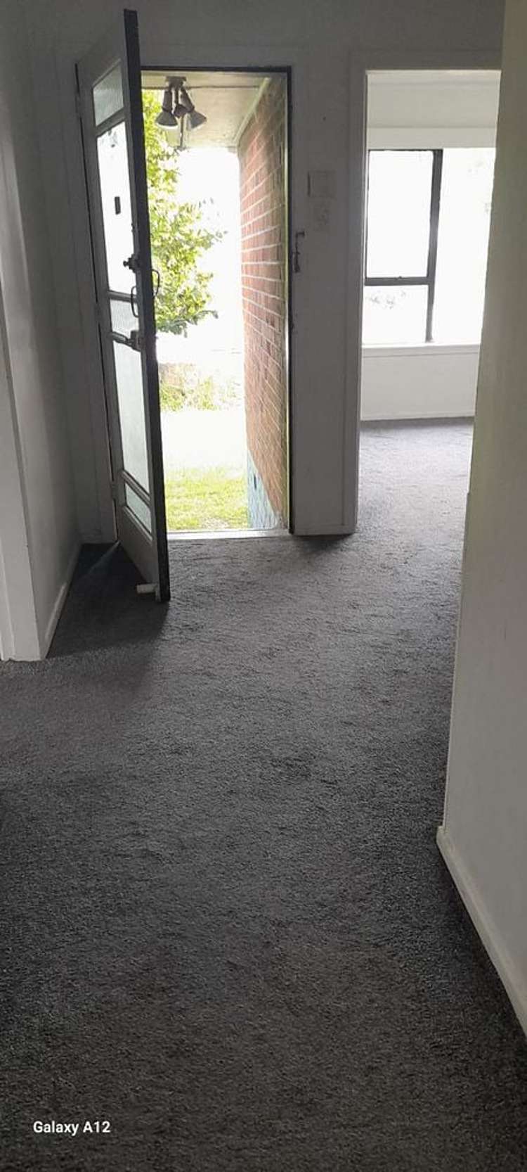 20 Boyce Avenue Mount Roskill_2