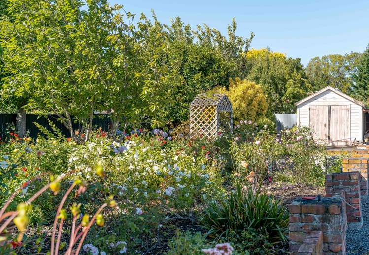 159 Main Street Greytown_14