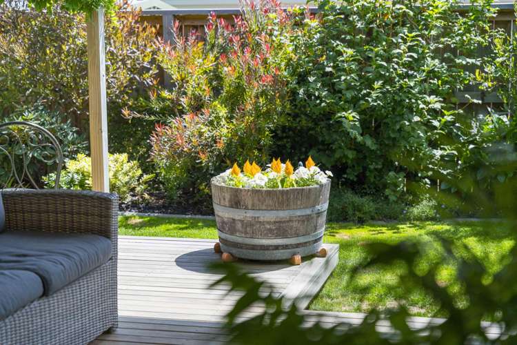 3 Kohia Place Wharewaka_4