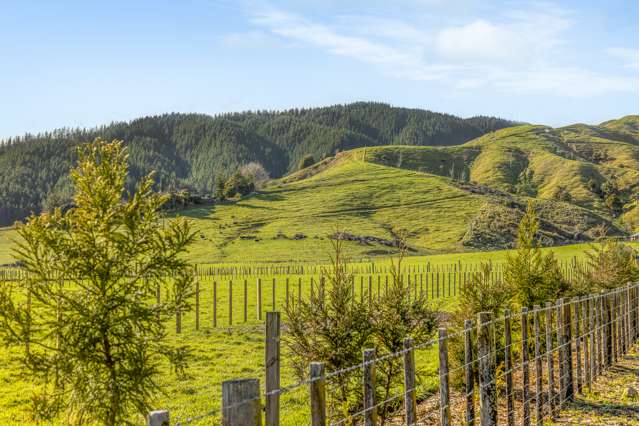 161, 167, 169 Gladstone Road Levin_4