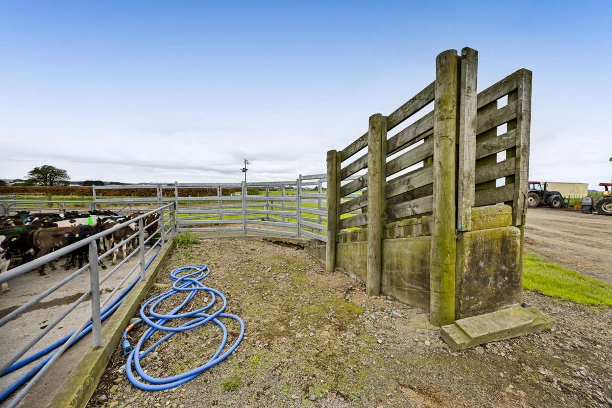 0n Ngarongo Road_2