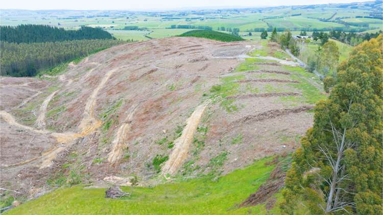 Fletcher Road, Table Hill Milton_5