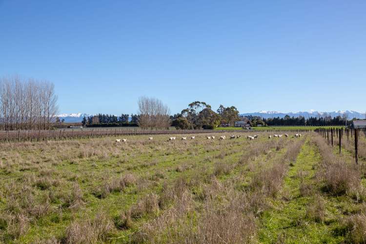 Lot 3 Dakins Road East Taratahi_16