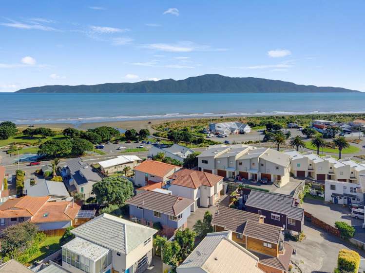 3/381 Kapiti Road_3