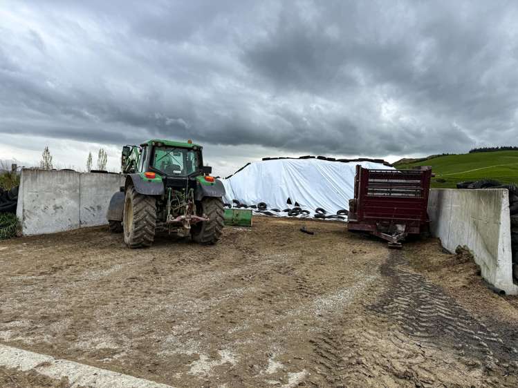 307 Okapua Road Chatton North_13