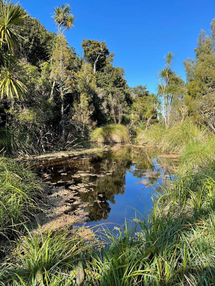 652A Te Whiti Road Te Whiti_24