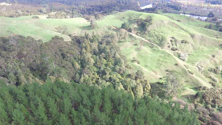 157 Mercer Ferry Road Mercer_13