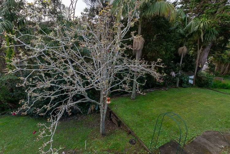 33A Island Bay Road 1603_13