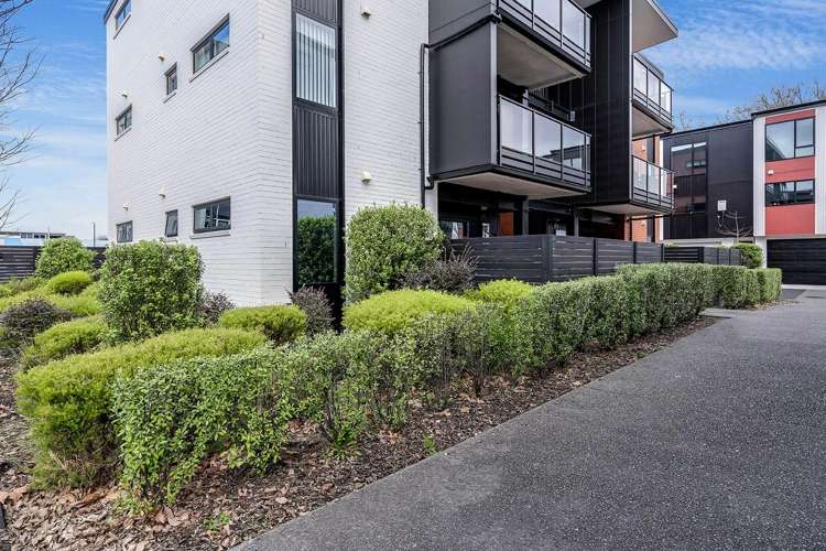 3/182 London Street 10463_15