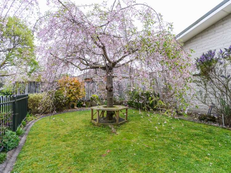 15 Kaweka Place Havelock North_21