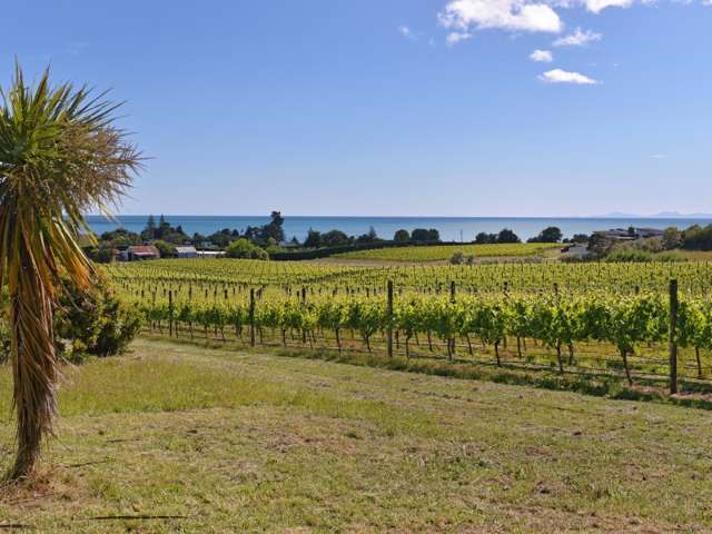 166 Kina Beach Road Tasman_1